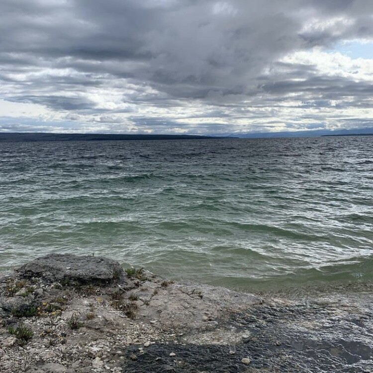 Yellow Stone National Park