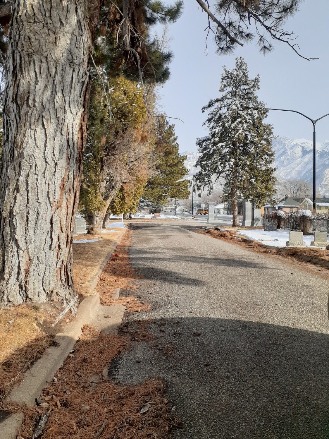 Winter Wonder in Utah!