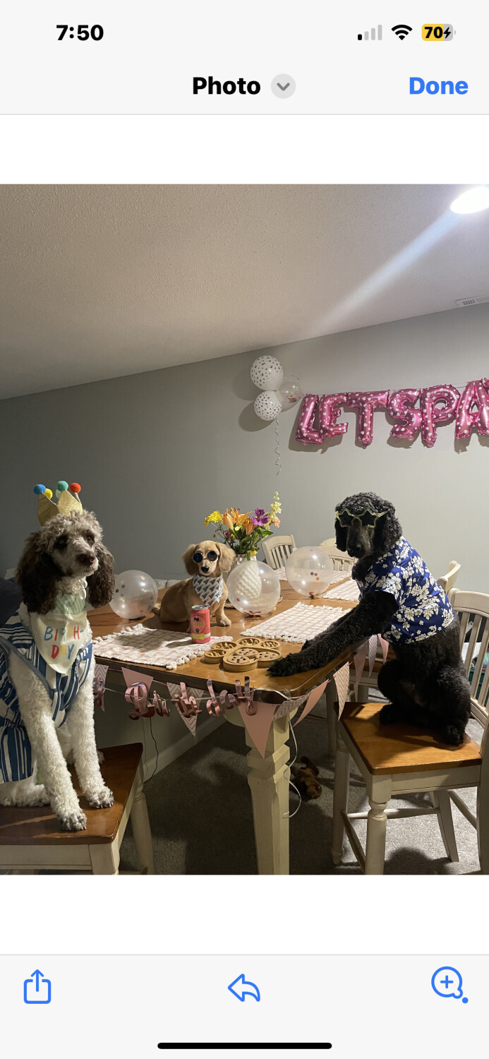 Auggie’s birthday party