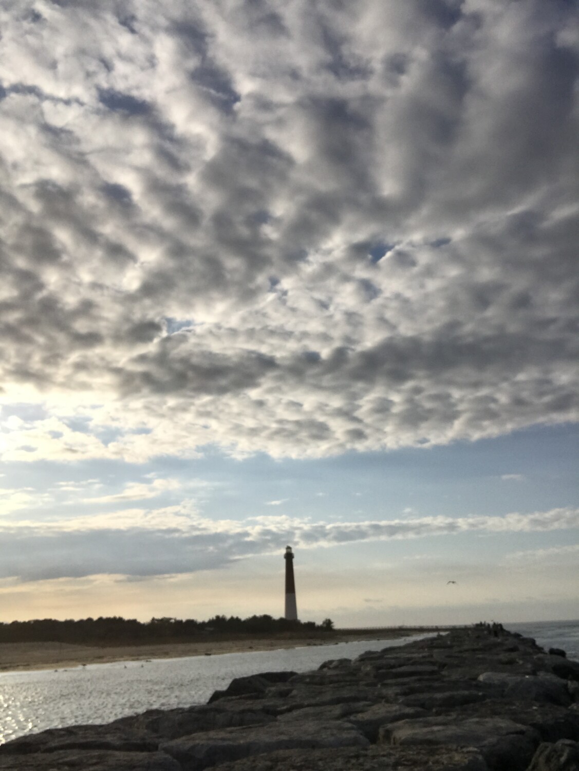 Beauty in Every Breath