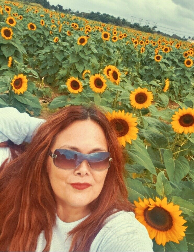 SUN FLOWERS PARADISE