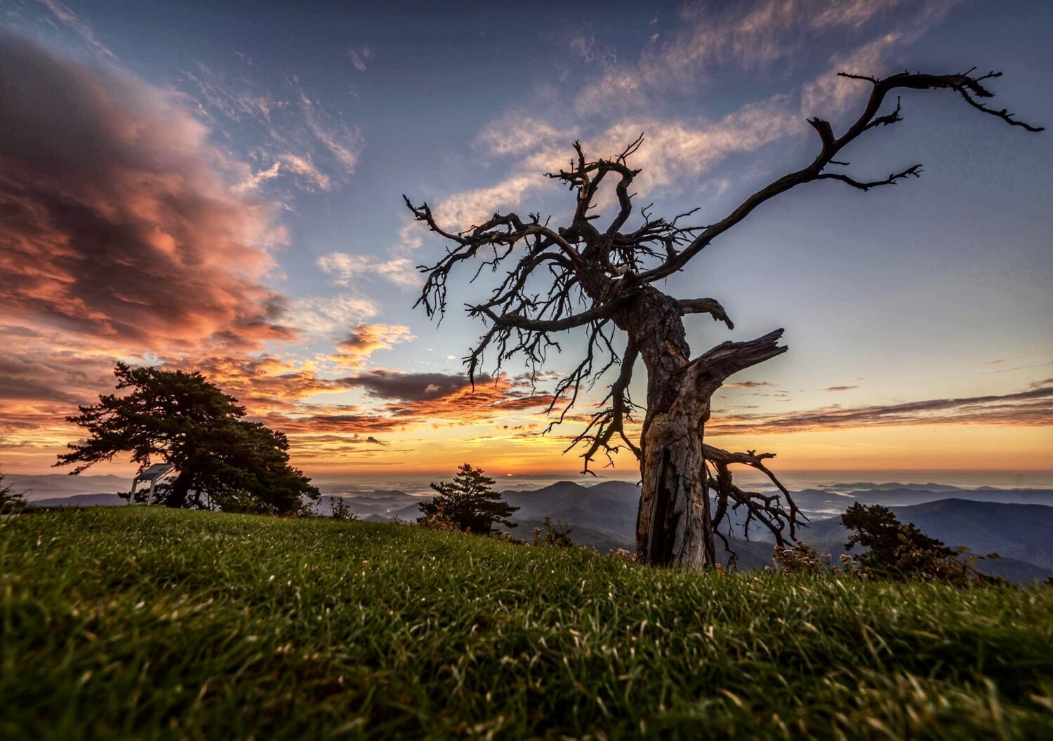 America’s Favorite Photos Competition Page Lean to the sun. Anthony