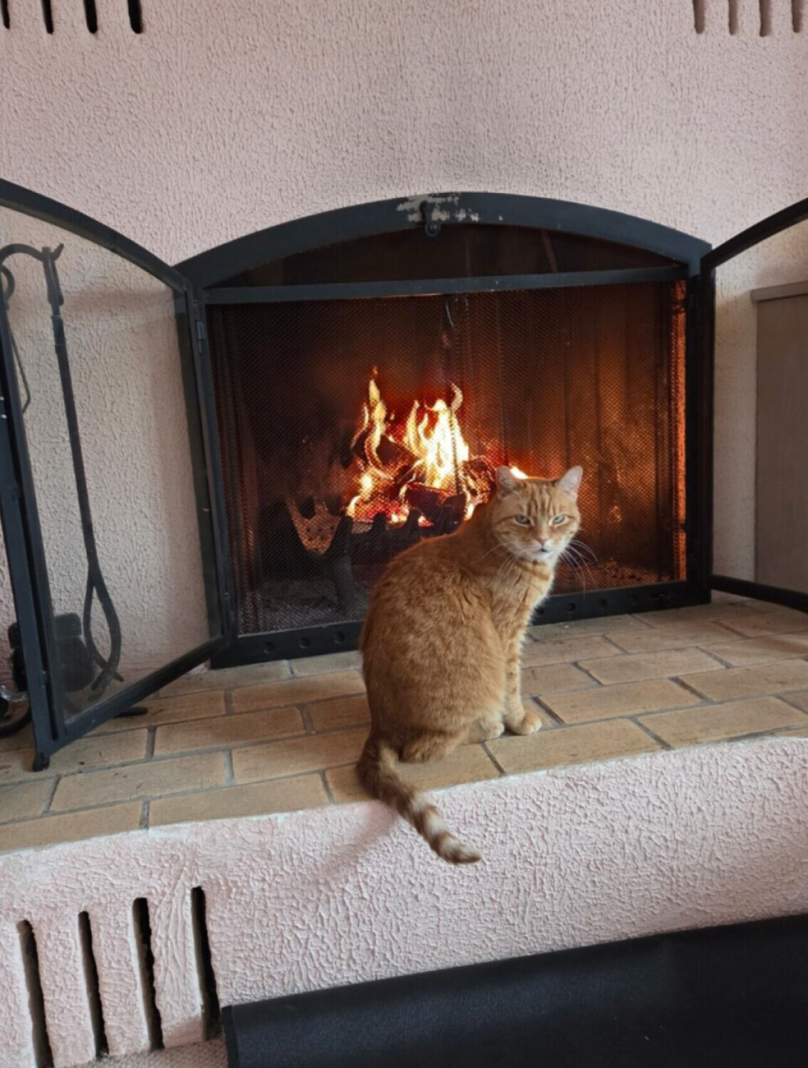 Saffron by the fire.