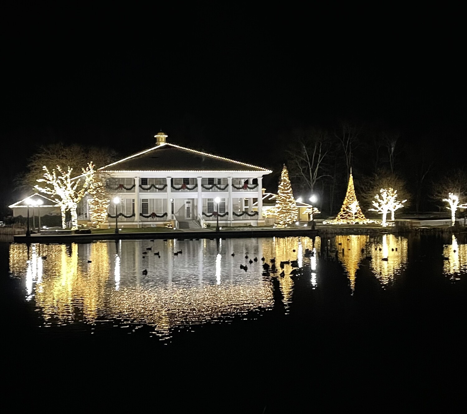 Christmas in Buhl Park