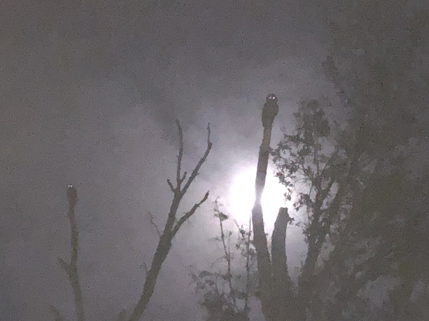 We’re watching you