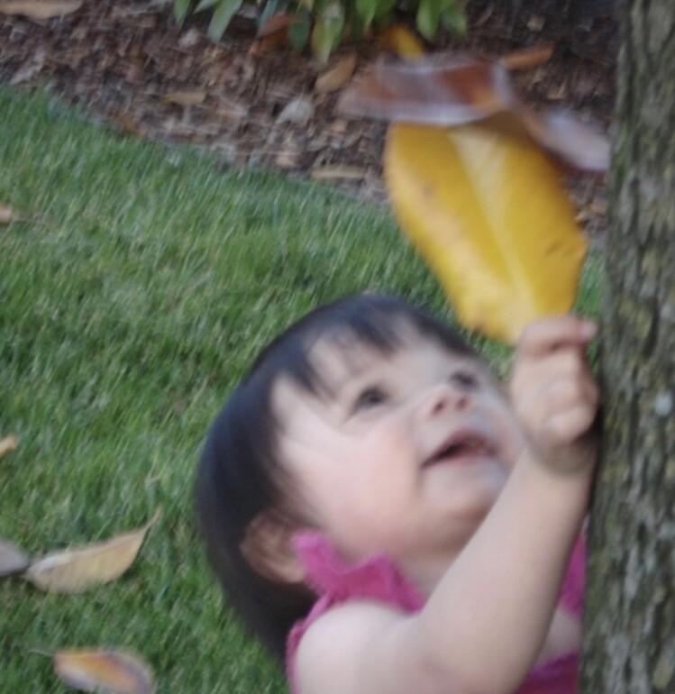 Exploring 🍁 leaves