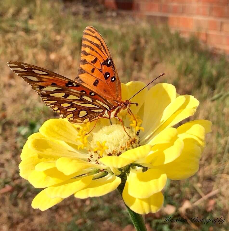 God's Beautiful Creation