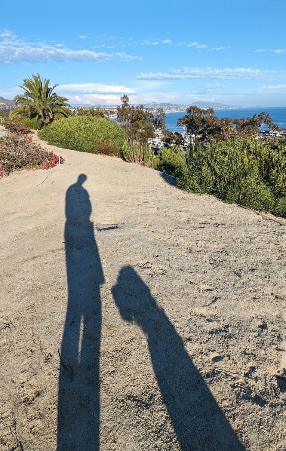 Me and my shadow