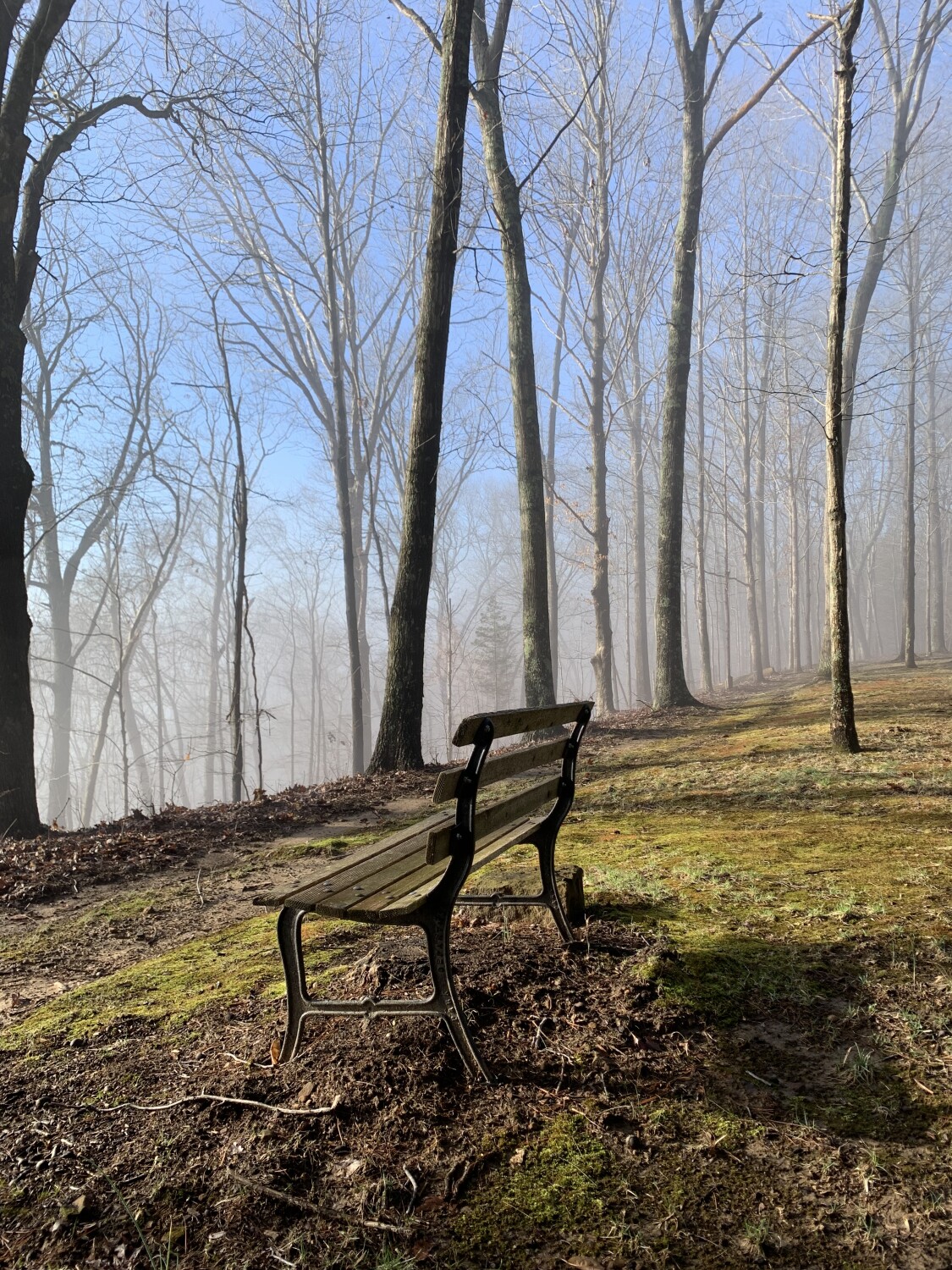 Bench in fog