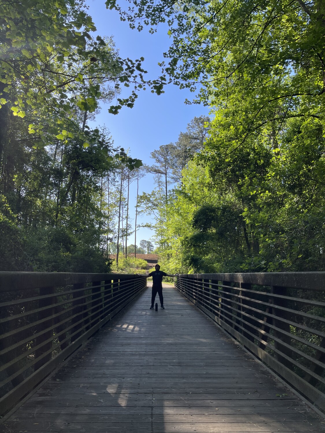 The hidden portal of  the next Earth