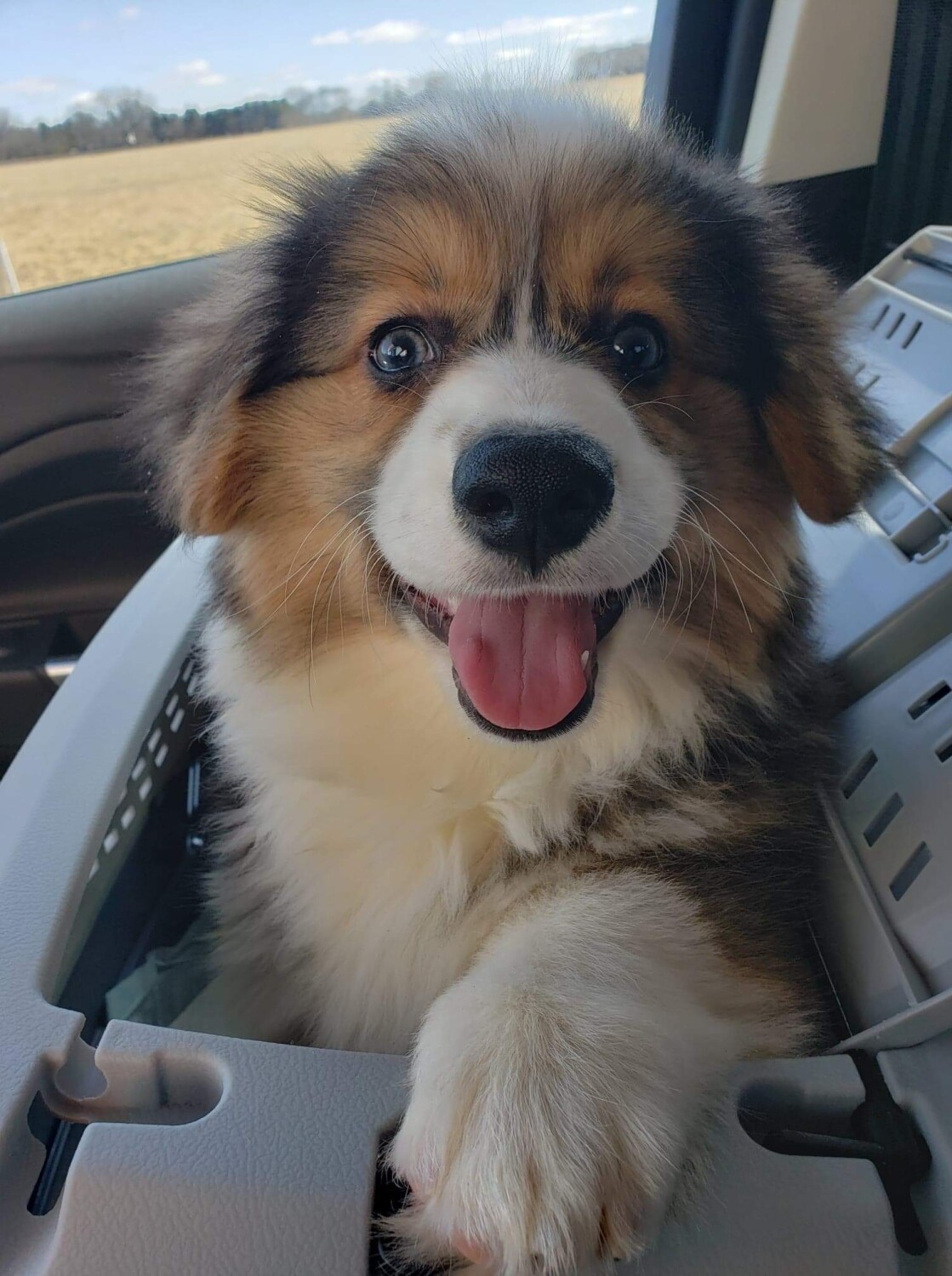 Calvin’s Comin’ Home