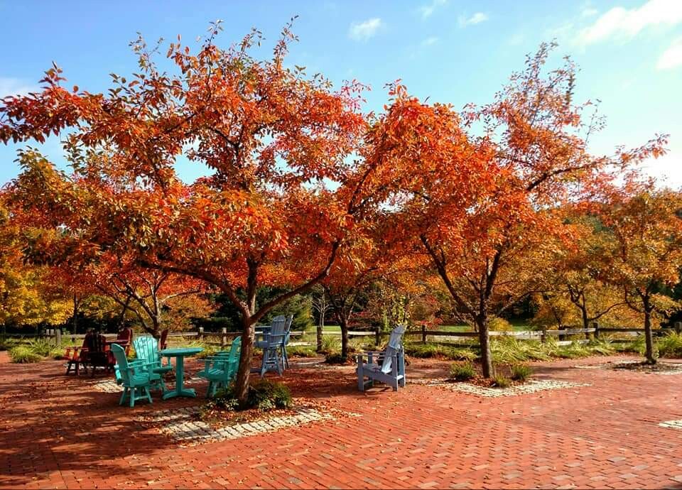 Fall in Guilford Vermont 2018