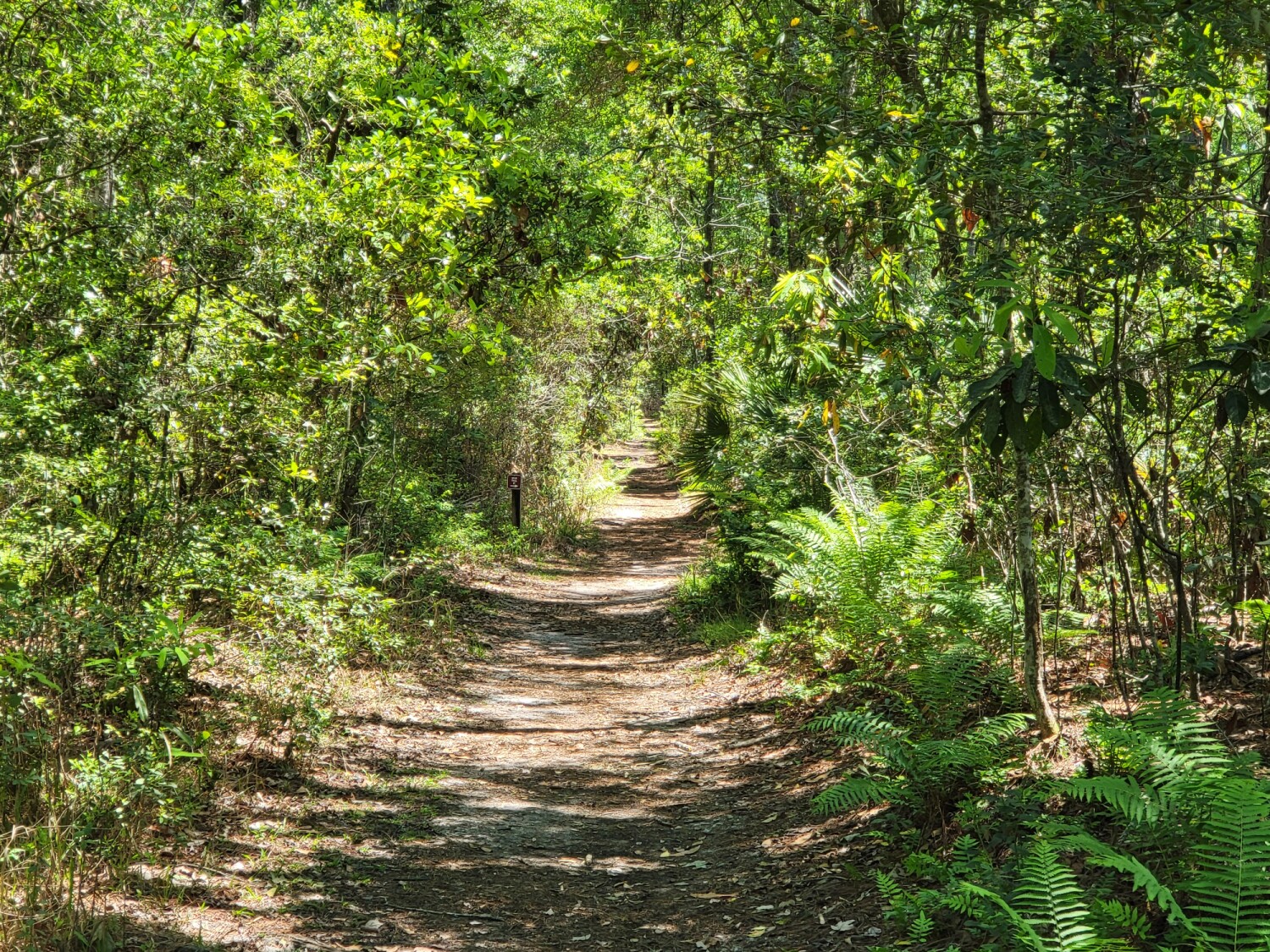 The Path to Truly Peace