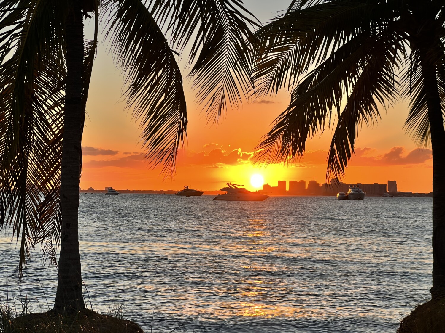 Miami’s Golden Sunset