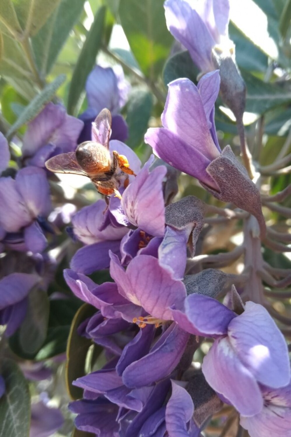 Concerning Springtime