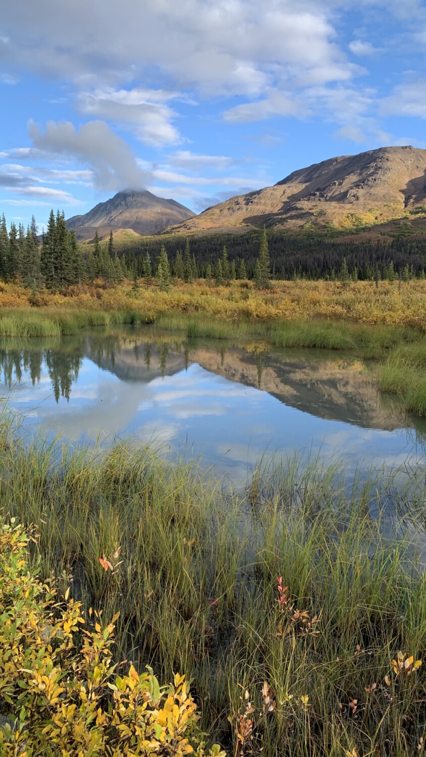 Reflections at Denali