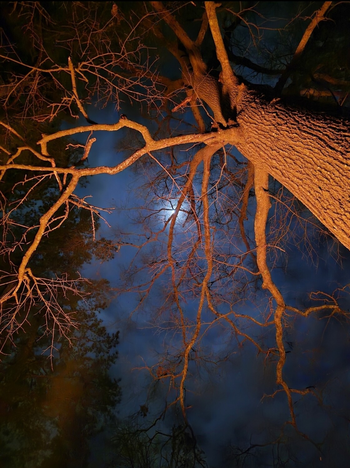 Night by the fire