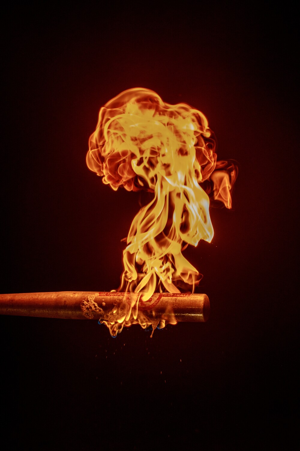 Bat on Fire