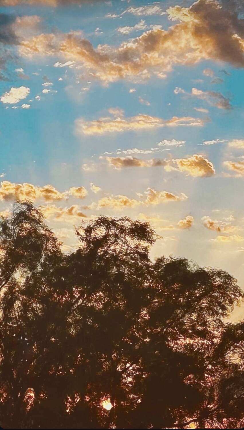 Embers in the Sky