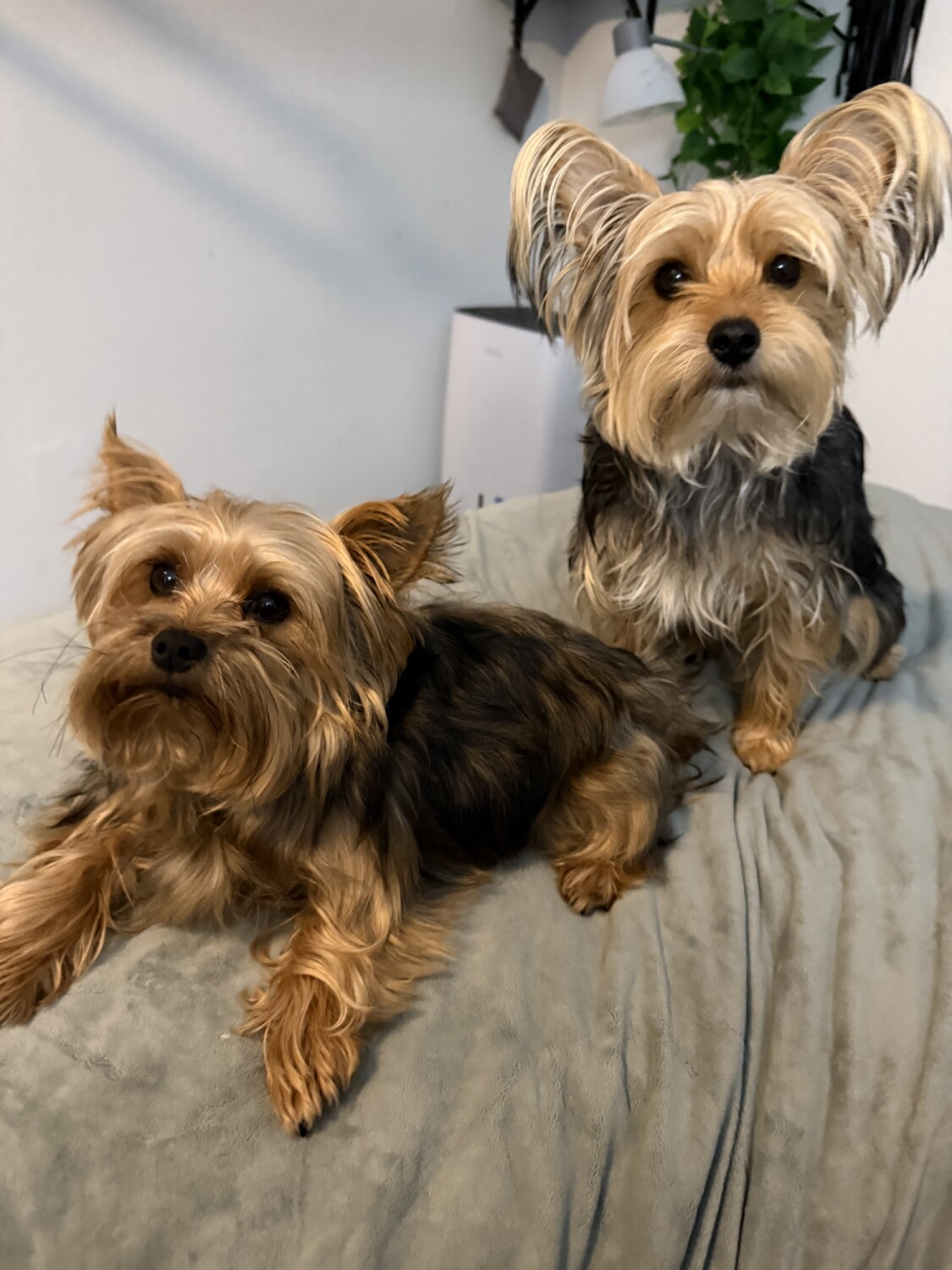Tanner & Cooper