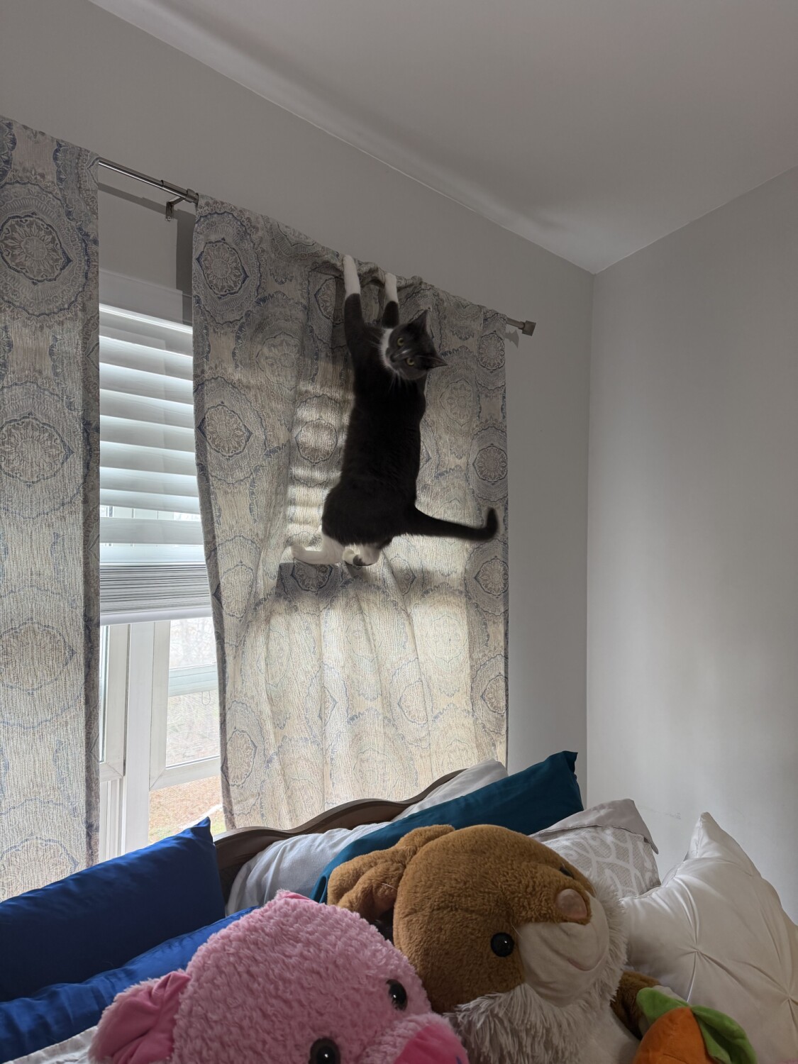 What’s hangin’??