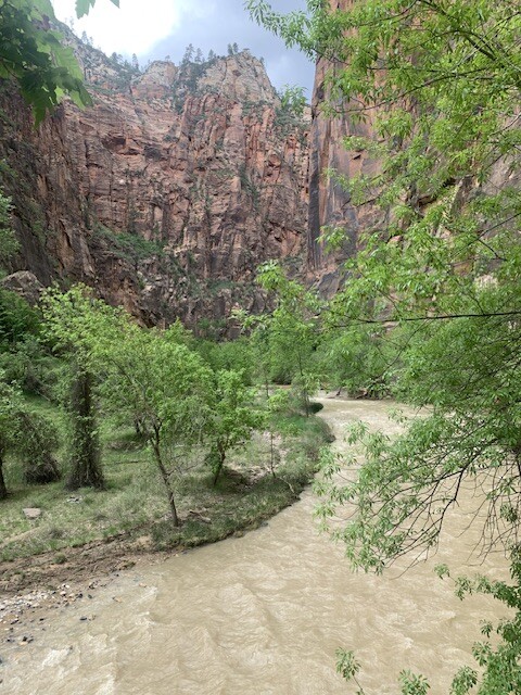 Zion riverside walk
