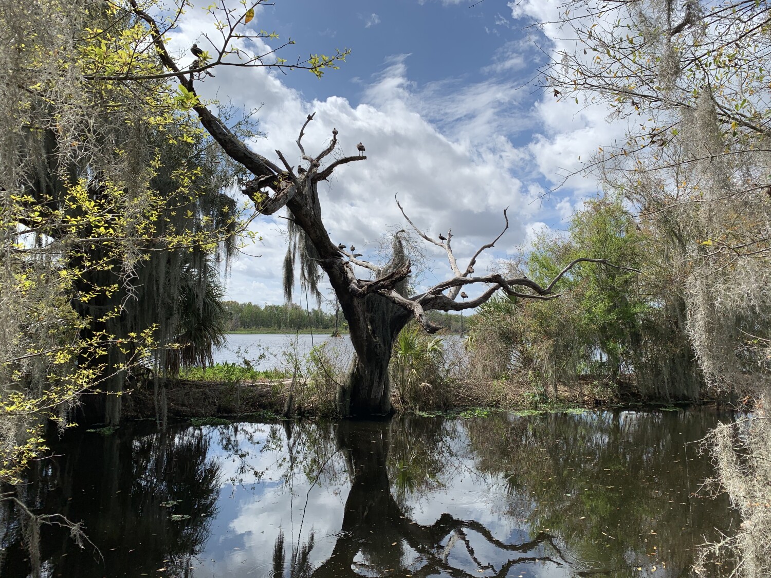 Beautiful yet mysterious nature