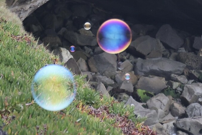 Bubbles