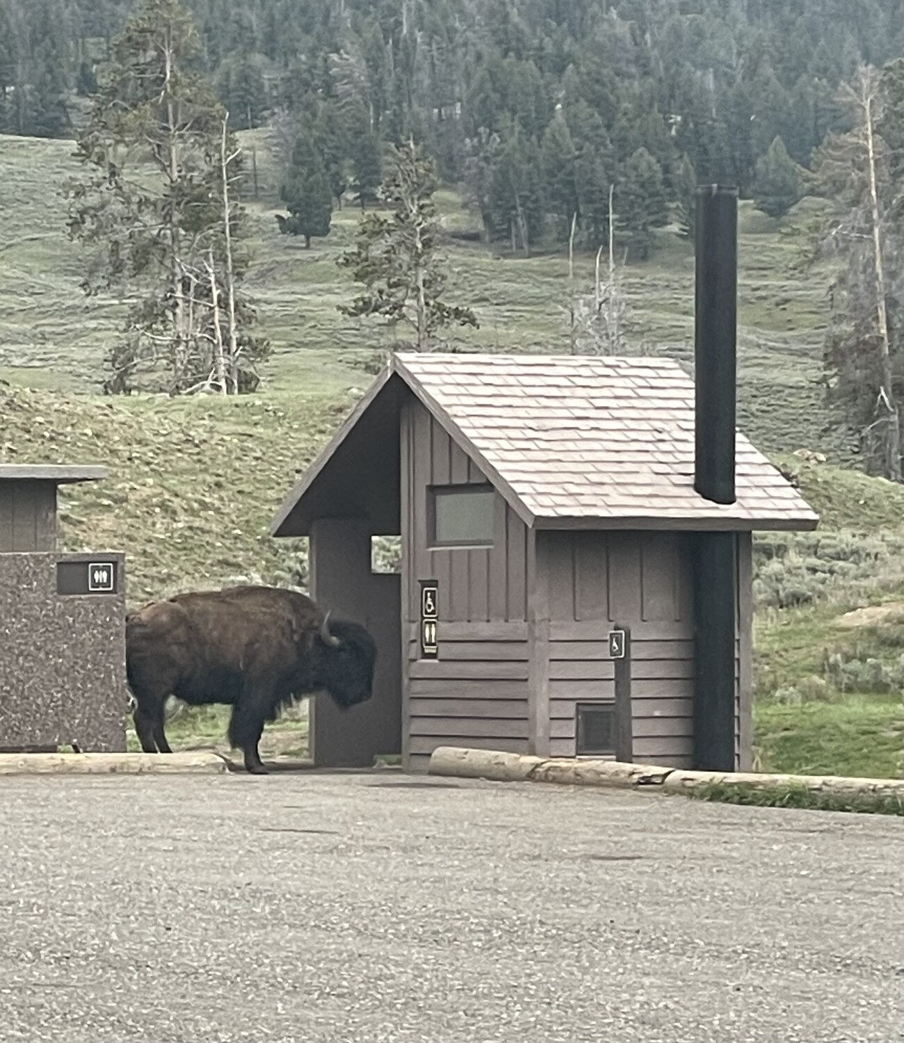 When you gotta go, you gotta go!