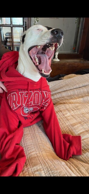 Petey’s personality