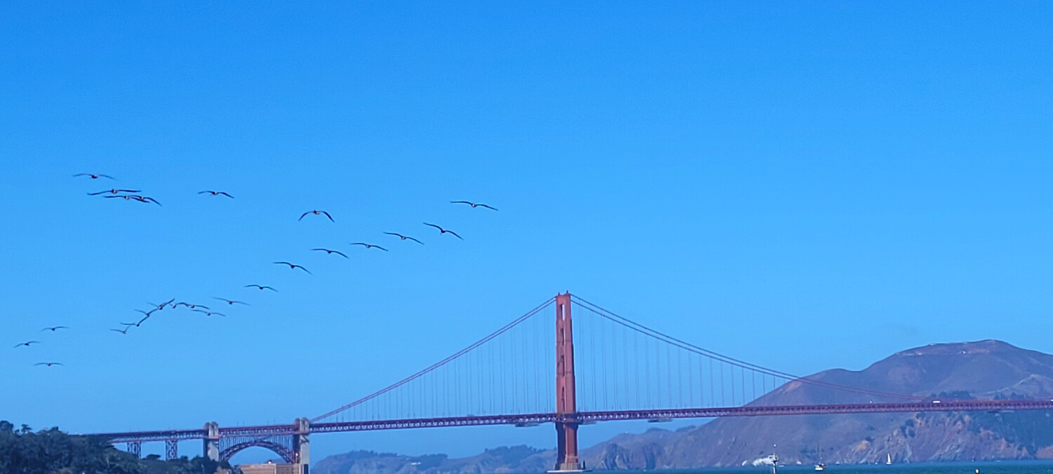 Golden Gate Bridge
