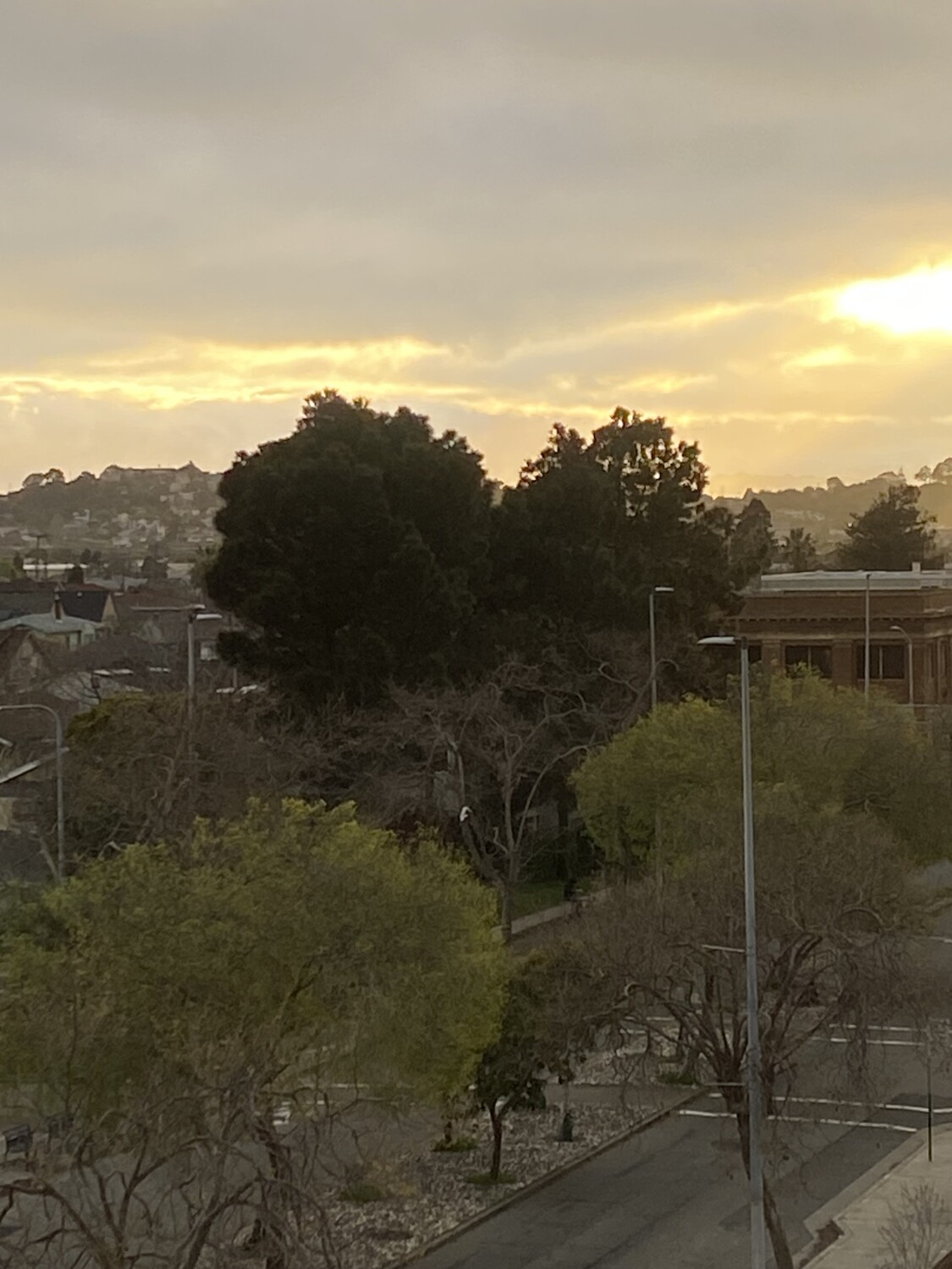 Richmond, The Sweetheart Of The Bay Area