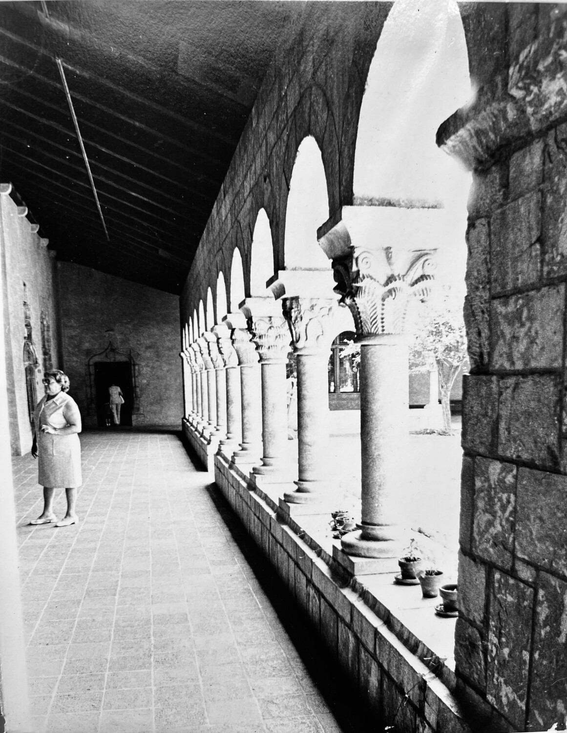 The cloisters