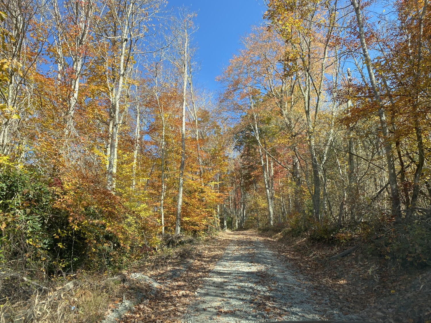 Fall in the mountains