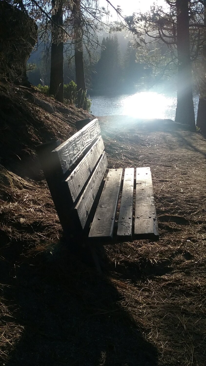 The bench