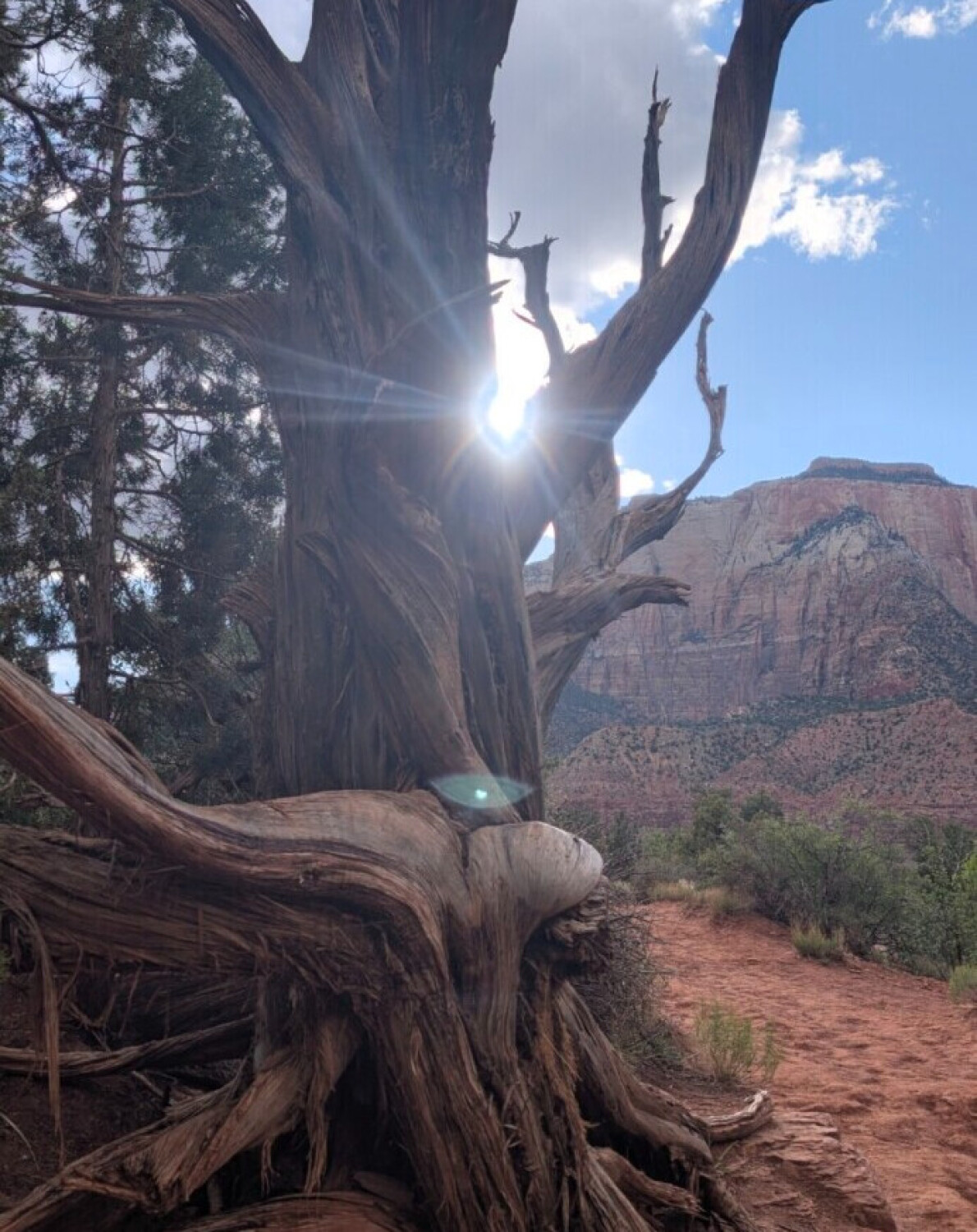 Guardian of the Red Rocks