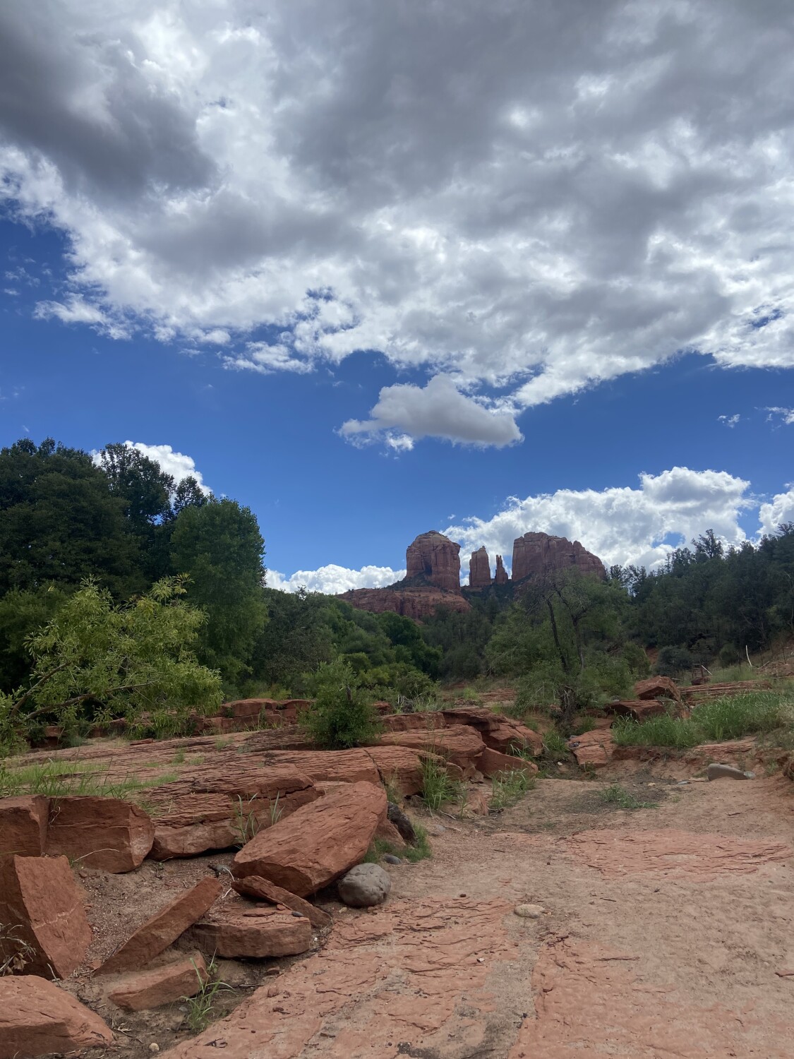 Beautiful Mother Nature