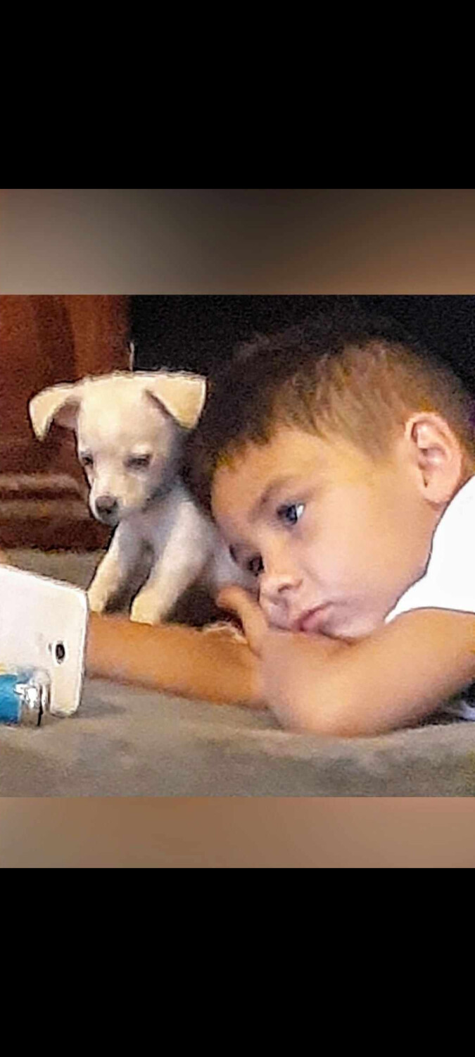 Everything together.