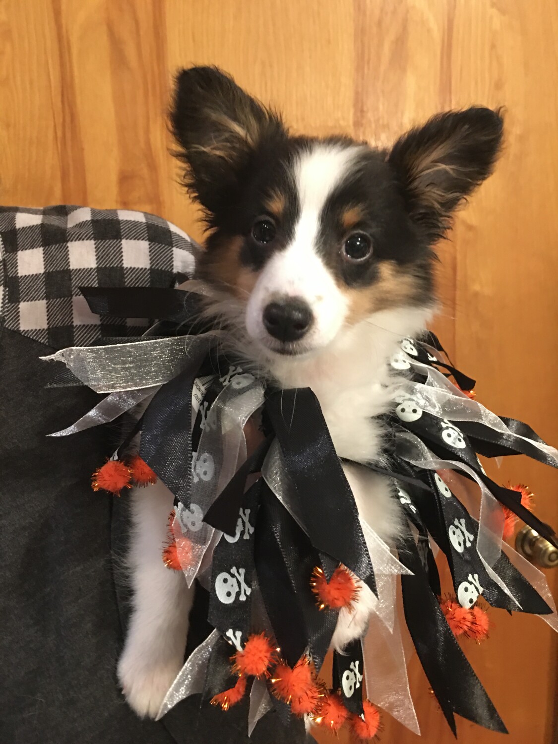 Im the treat…now let’s go trick!!