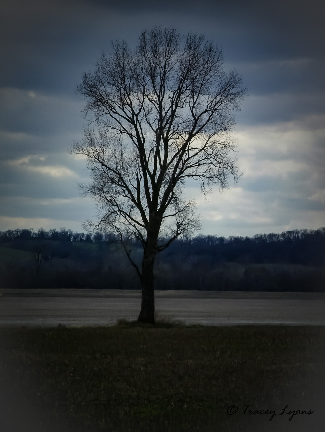 At dawn before a storm