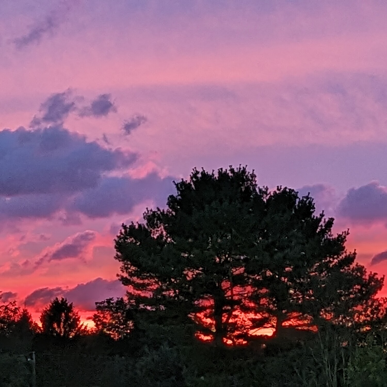 Red Sky At Night Sailor's Delight