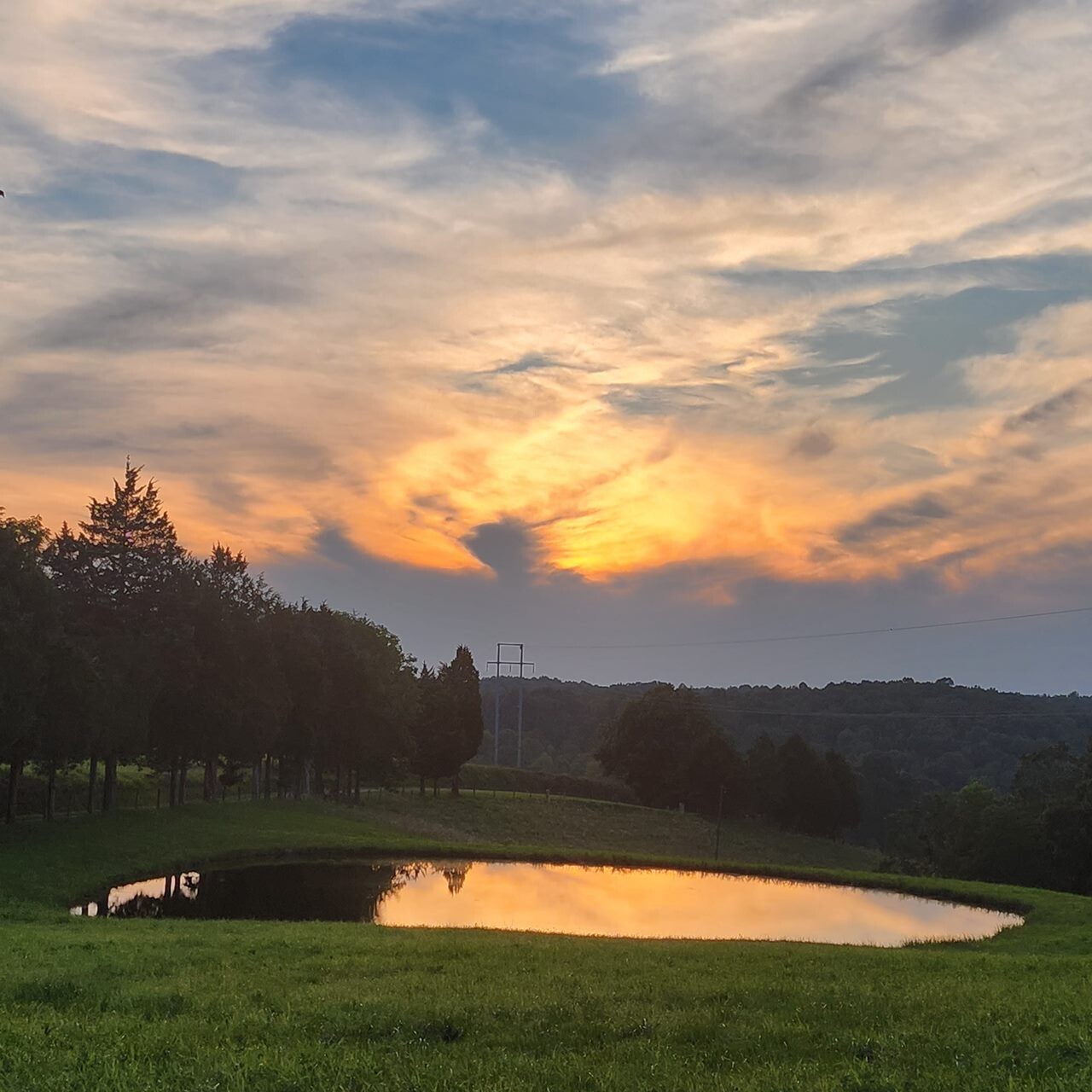 The pond@ sunset