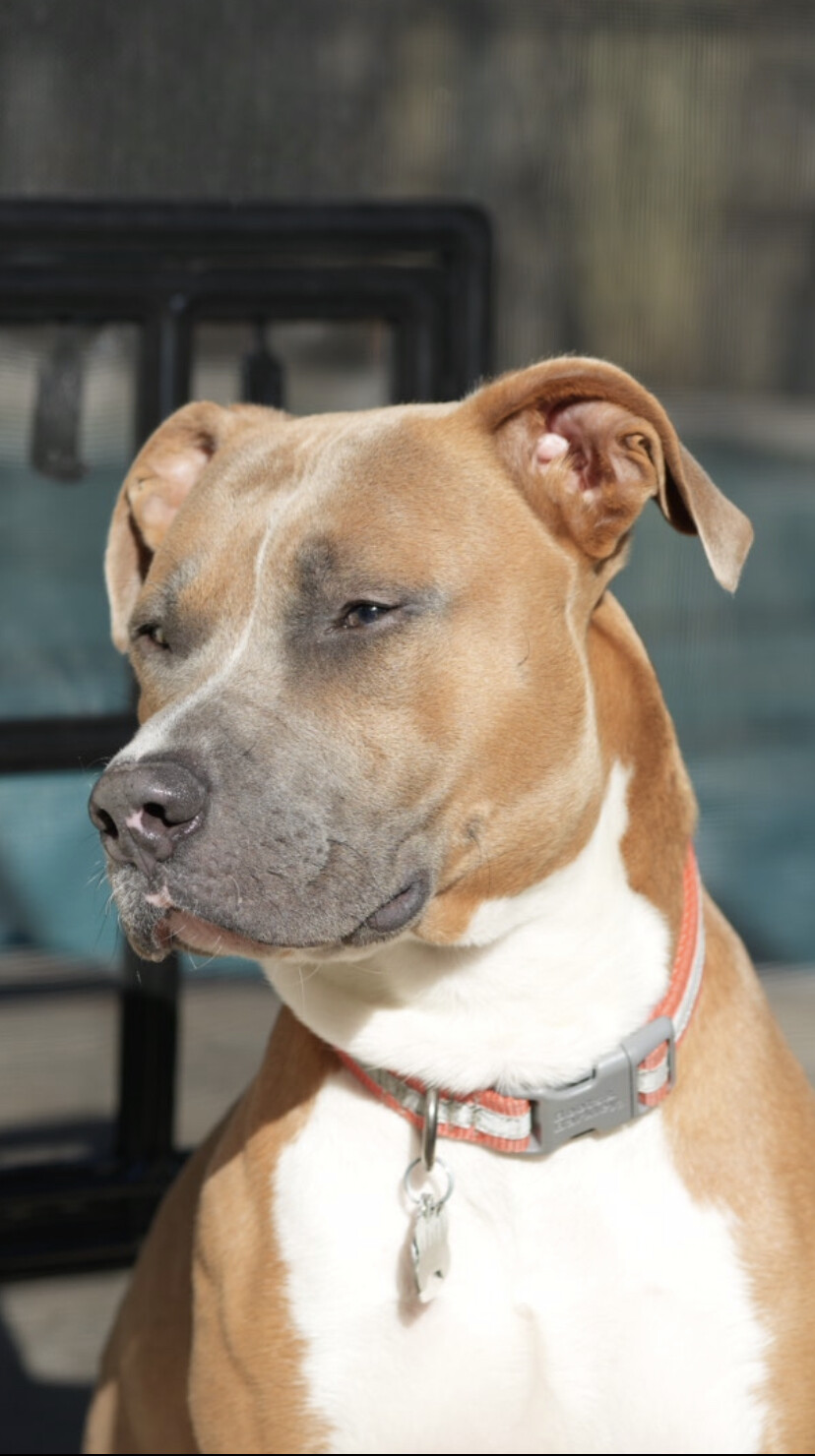 Rusty Villalobos Miller