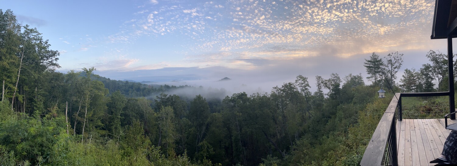 Early Rise of Purple Haze