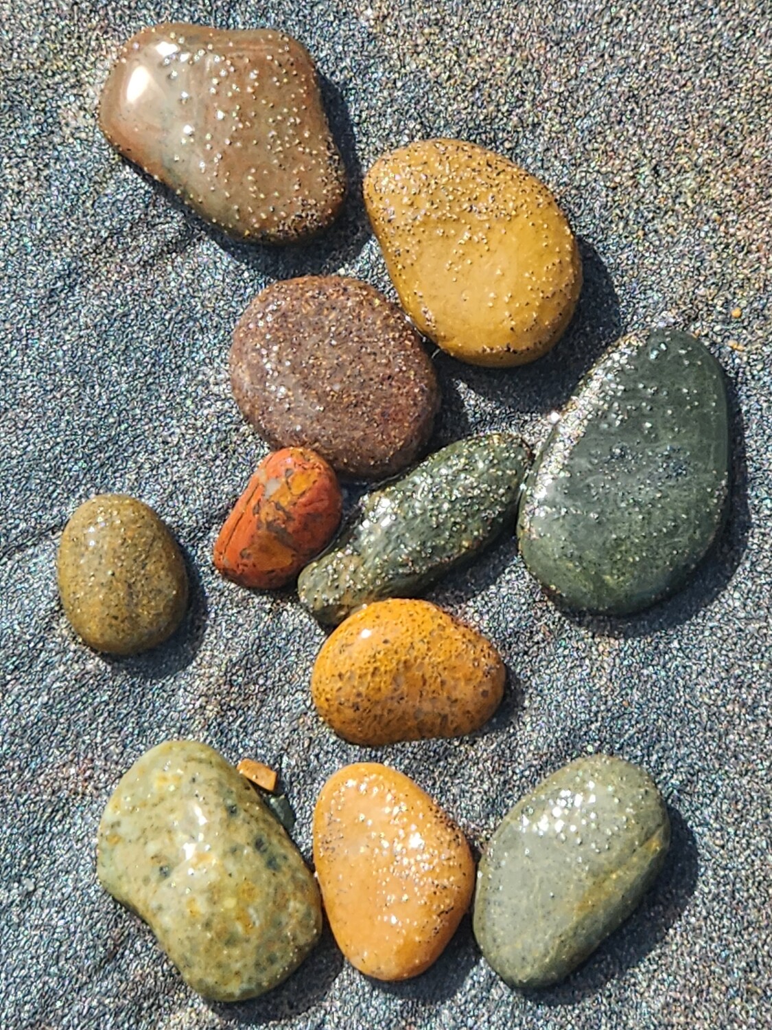 Beach Life adventure