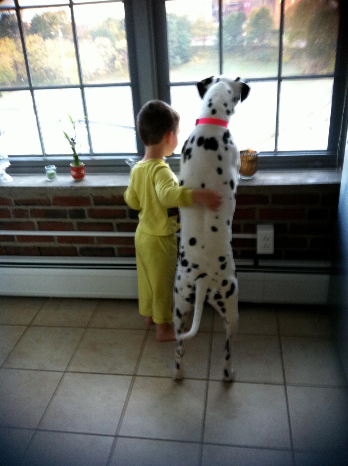 Look!  It’s snowing.