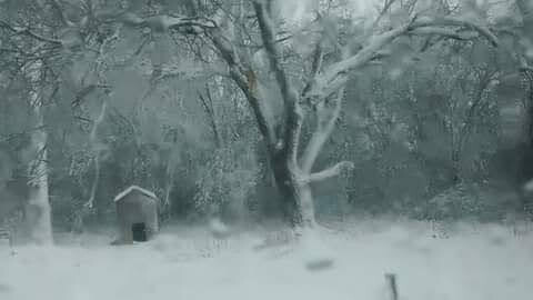 A dog house in the snow storm.