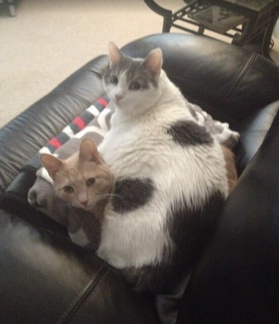 What?  He was in my spot!