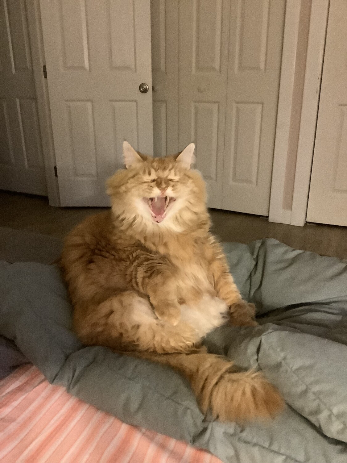 My laughing boy