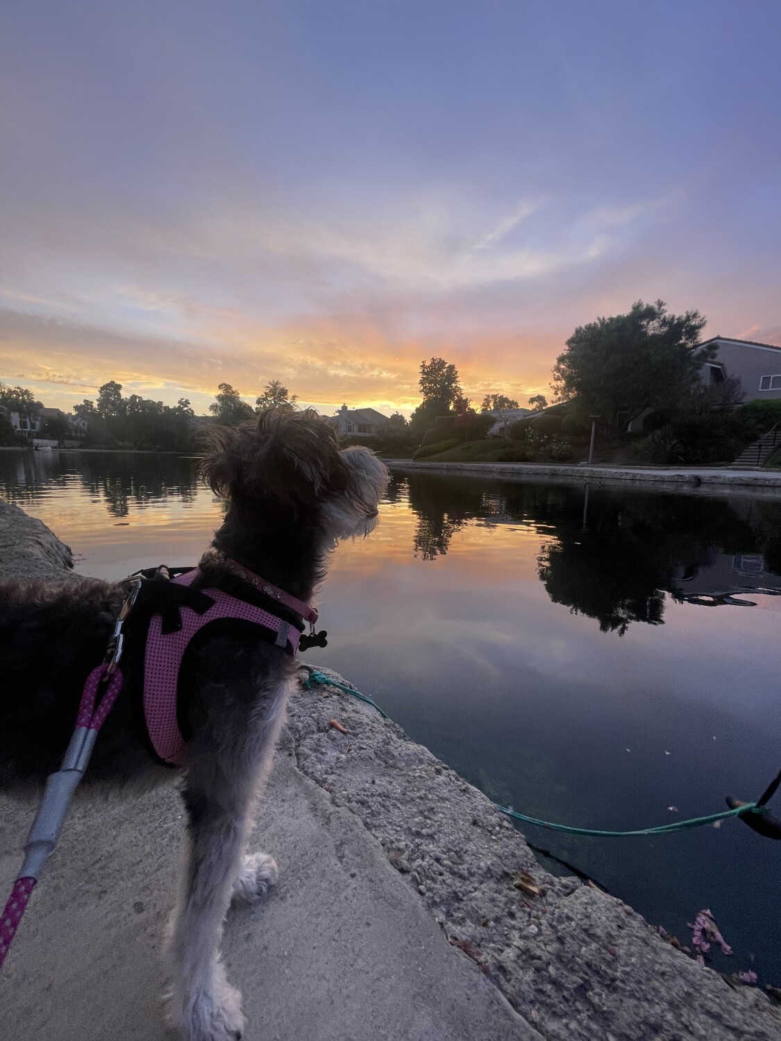 Calabasas lake sunset